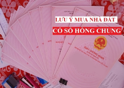 Nhà đồng sở hữu, mua bán vi bằng, giấy tờ tay là gì?